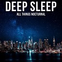 Deep Sleep - The Birds of Hope