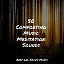 Healing Sounds for Deep Sleep and Relaxation Academia de M sica con Sonidos de la Naturaleza Spa Music… - Deep Dreams