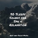 Pet Care Music Therapy Easy Sleep Music Asian Zen Spa Music… - Calming River Melody