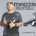 Mc Zoio da Fazendinha Dj Gord o Zs - Magia Celestial II