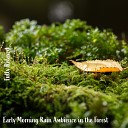 Steve Brassel - Early Morning Rain Ambience in the Forest Pt…