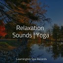 Rain Sounds Nature Collection Oasis de D tente et Relaxation Nature Music Pregnancy… - A State of Calm