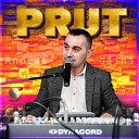 Formatia Prut - Coace prunele