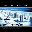 Saga - Solsbury Hill 1991 Single