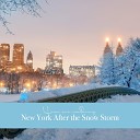 Tim Cooper - New York After the Snow Storm Pt 11