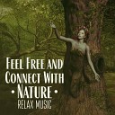 Healing Touch Music Guru - The Wind in the Forest