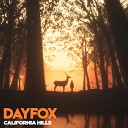 DayFox - California Hills Instrumental Version