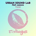 Urban Sound Lab feat Amalia Phil Asher - This Phil Asher Remix