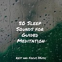 Binaural Beats Brain Waves Isochronic Tones Brainwave Entrainment Guided Meditation Music Zone Healing Sounds for Deep… - Lake Reflections