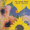 The Bevis Frond - Psychedelic Unknowns