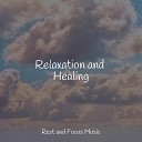 White Noise Sound Garden Relaxing Mindfulness Meditation Relaxation Maestro Ru do… - Peaceful Sunshine