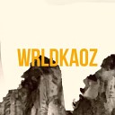 wrldkaoz feat Viczin - Astros em Alto Mar