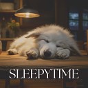 Music for Sleeping Puppies - Toiling for Success