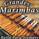 Grandes Marimbas - Ritmo y Palmeras