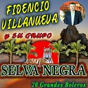 Fidencio Villanueva y su grupo Selva negra - Reina de Mi Vida