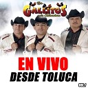 Los Gallitos de Chihuahua - O Me Voy O Te Vas En Vivo