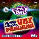 Marimba Internacional Voz Paduana - Mix Cumbiando Amor a Primera Vista Vida de Rico En…