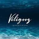 Viligooz - Echo in My Head