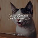 Jazz Music for Cats Music for Relaxing Cats Pet Care… - Planet in Flux