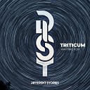 TRITICUM - Waiting For Original Mix