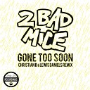 2 Bad Mice - Gone Too Soon Christian B Lewis Daniels Remix