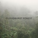 Cloudburst Forest - Forest Rain With Peaceful Insects Seamless