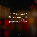 Lightning Rising Higher Meditation Active Baby Music… - Beautiful Bird Song
