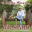 Wilsinho O Fera da Sanfona - Pegando Fogo no Sal o