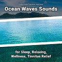Sea Waves Sounds Ocean Sounds Nature Sounds - Water Ambience to Help Babies Sleep All Night