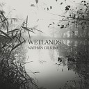 Nathan Gilkinet - Wetlands