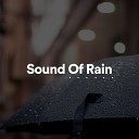 Rain Sounds Nature Sounds - Sound of Rain Pt 23