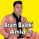 Aram Baleki - Sarbazi