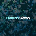 Sea Waves Sounds - Flourish Ocean Pt 18
