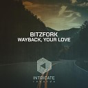 Bitzfork - Your Love Original Mix Edit
