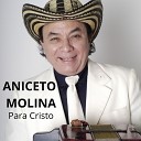 Aniceto Molina - La Muerte Natural