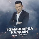 Анвар Нургалиев - Томаннарда калдын