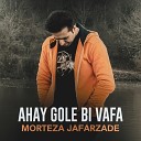 Morteza Jafarzadeh - Ahay Gole Bi Vafa