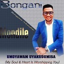 Bongani Mondile - Ndilundwendwe Sojourner