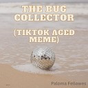 Paloma Fellowes - The Bug Collector TikTok Aged Meme