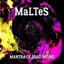 MaLTeS - Inside Void