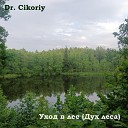 Dr Cikoriy - Уход в лес Дух леса