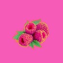 sorp - Raspberry