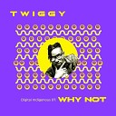 Twiggy feat Nepman - Why Not