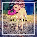 Allpha - L O V E Alternate Mix