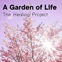 The Healing Project - A Garden of Life Vol 2