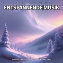 Entspannungsmusik Sebastian Noiro Entspannungsmusik Ruhige Musik… - Hinrei ende Zeiten