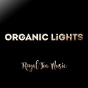 Royal Tea Music - Organic Lights