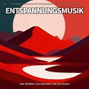 Einschlafmusik Entspannungsmusik Entspannungsmusik zum Einschlafen und… - Klangfarben f r den Geist