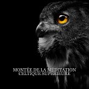 Zone de la Musique Relaxante feat Om Meditation Music… - Danse de la vie