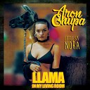 AronChupa Feat Little Sis Nora - Llama In My Living Room Serxio1228 Remix